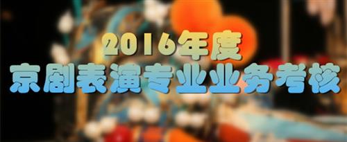 骚杯美女网站国家京剧院2016年度京剧表演专业业务考...